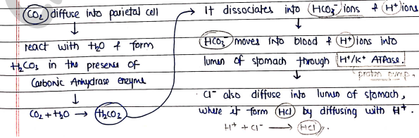 Screenshot 2026-02-24 204339