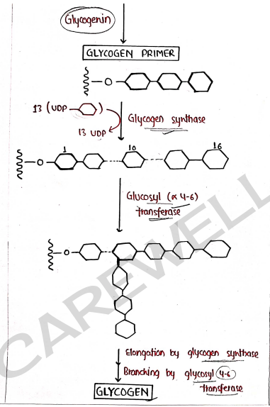 Screenshot 2026-03-09 135423