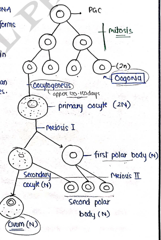 Screenshot 2026-03-08 151829