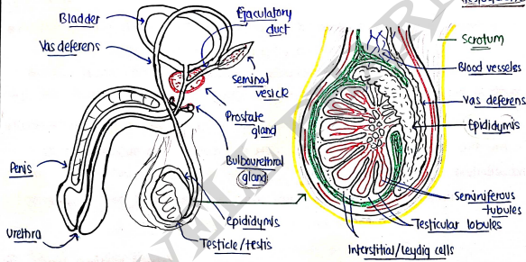 Screenshot 2026-03-08 151313