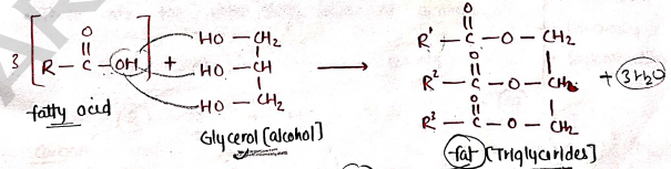 Screenshot 2026-03-08 191056