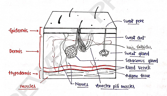 Screenshot 2026-02-10 143604