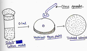 Screenshot 2026-04-06 110718