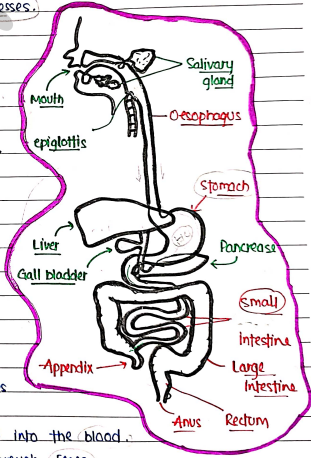 Screenshot 2026-02-24 204051