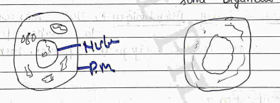 Screenshot 2026-04-06 105505