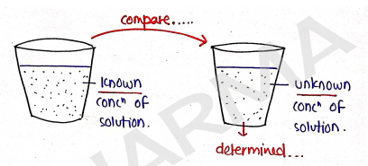 Screenshot 2026-02-13 170649