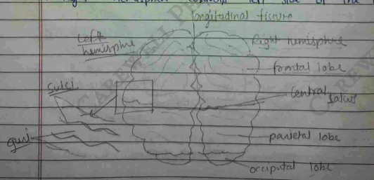 Screenshot 2026-02-23 204032