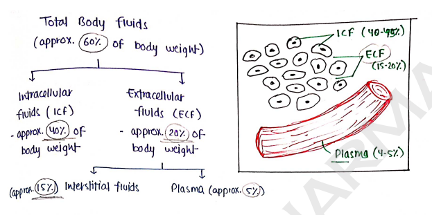 Screenshot 2026-02-11 152519