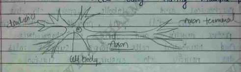 Screenshot 2026-02-23 203058