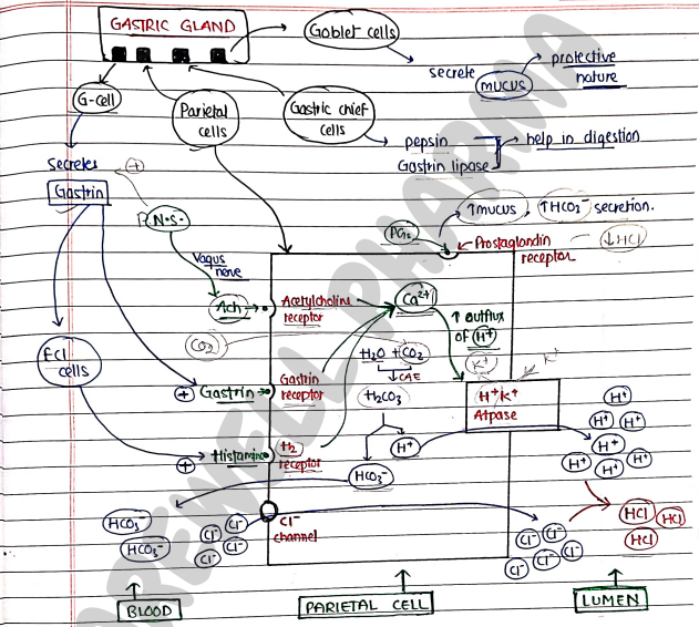 Screenshot 2026-02-24 222801