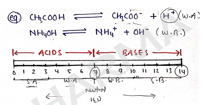 Screenshot 2026-02-13 171049