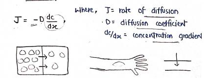 Screenshot 2026-02-17 124347