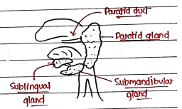 Screenshot 2026-02-24 204226