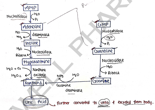 Screenshot 2026-03-10 105257