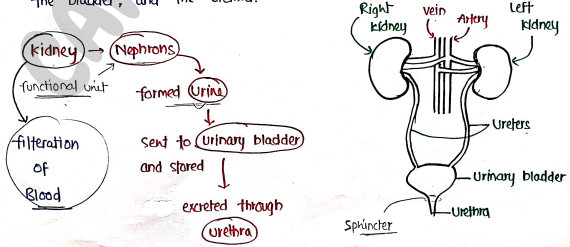 Screenshot 2026-02-25 193354