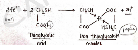 Screenshot 2026-02-17 140249