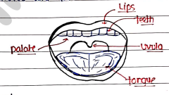 Screenshot 2026-02-24 204115