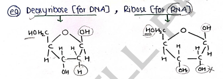 Screenshot 2026-03-10 105025