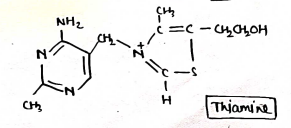 Screenshot 2026-03-10 125809