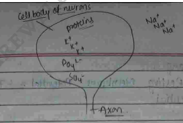 Screenshot 2026-02-23 203351