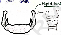 Screenshot 2026-02-10 150218