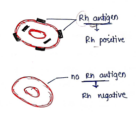 Screenshot 2026-02-11 161017