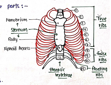 Screenshot 2026-02-10 150228