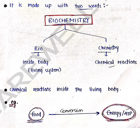 Screenshot 2026-03-08 190850