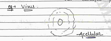 Screenshot 2026-04-06 105404