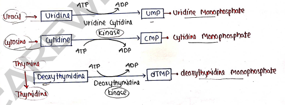 Screenshot 2026-03-10 105242