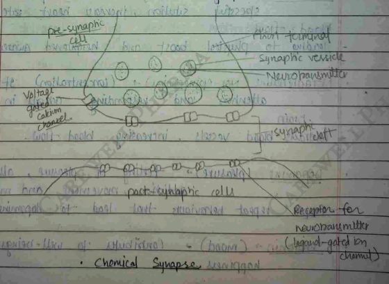 Screenshot 2026-02-23 203801