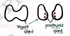 Screenshot 2026-03-07 231748