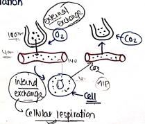 Screenshot 2026-02-25 193330