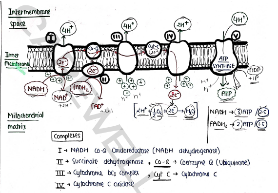 Screenshot 2026-03-09 135513