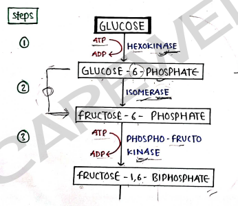 Screenshot 2026-03-09 135222