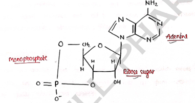 Screenshot 2026-03-09 115212