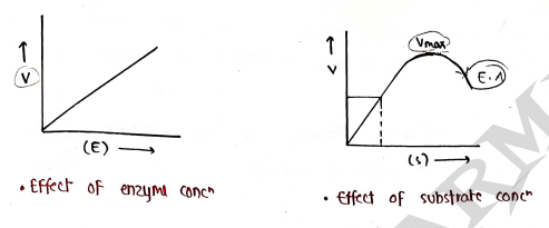 Screenshot 2026-03-10 125648