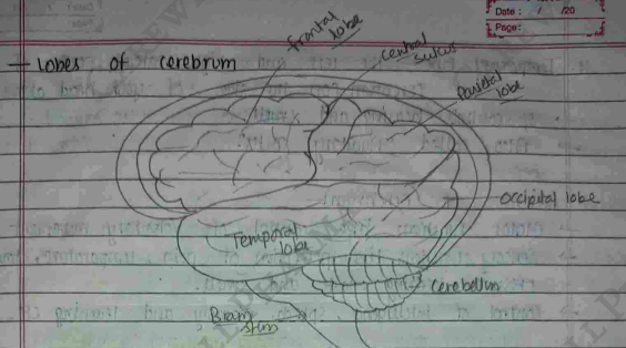 Screenshot 2026-02-23 204042