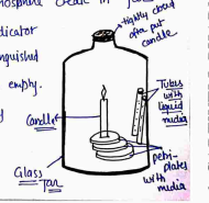 Screenshot 2026-04-06 111932