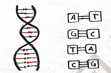 Screenshot 2026-03-08 191218