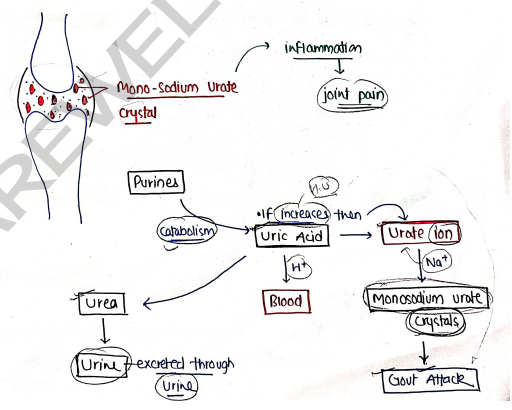 Screenshot 2026-03-10 105325