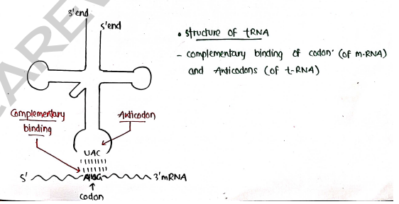 Screenshot 2026-03-10 105640