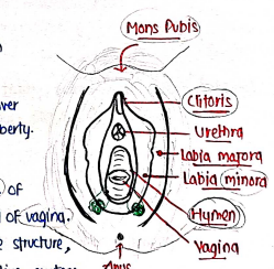 Screenshot 2026-03-08 151523