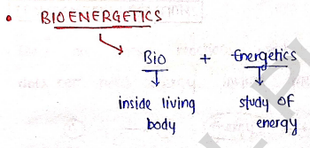 Screenshot 2026-03-08 191325