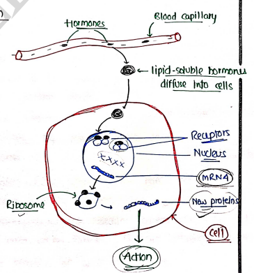 Screenshot 2026-03-07 231604