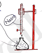 Screenshot 2026-02-12 204639