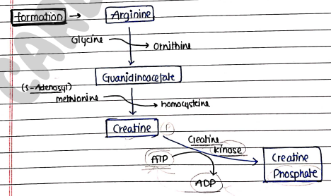 Screenshot 2026-02-24 222955