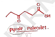 Screenshot 2026-02-11 152654