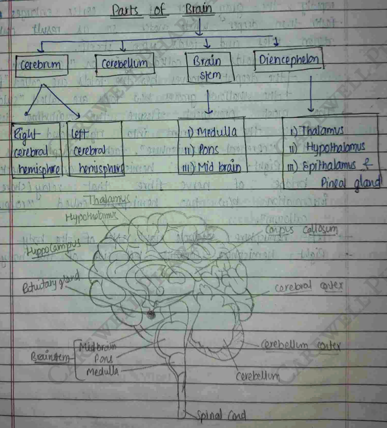 Screenshot 2026-02-23 203937