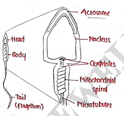 Screenshot 2026-03-08 151815